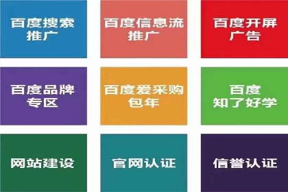 案例解析：竞价代运营如何实现高效广告投放